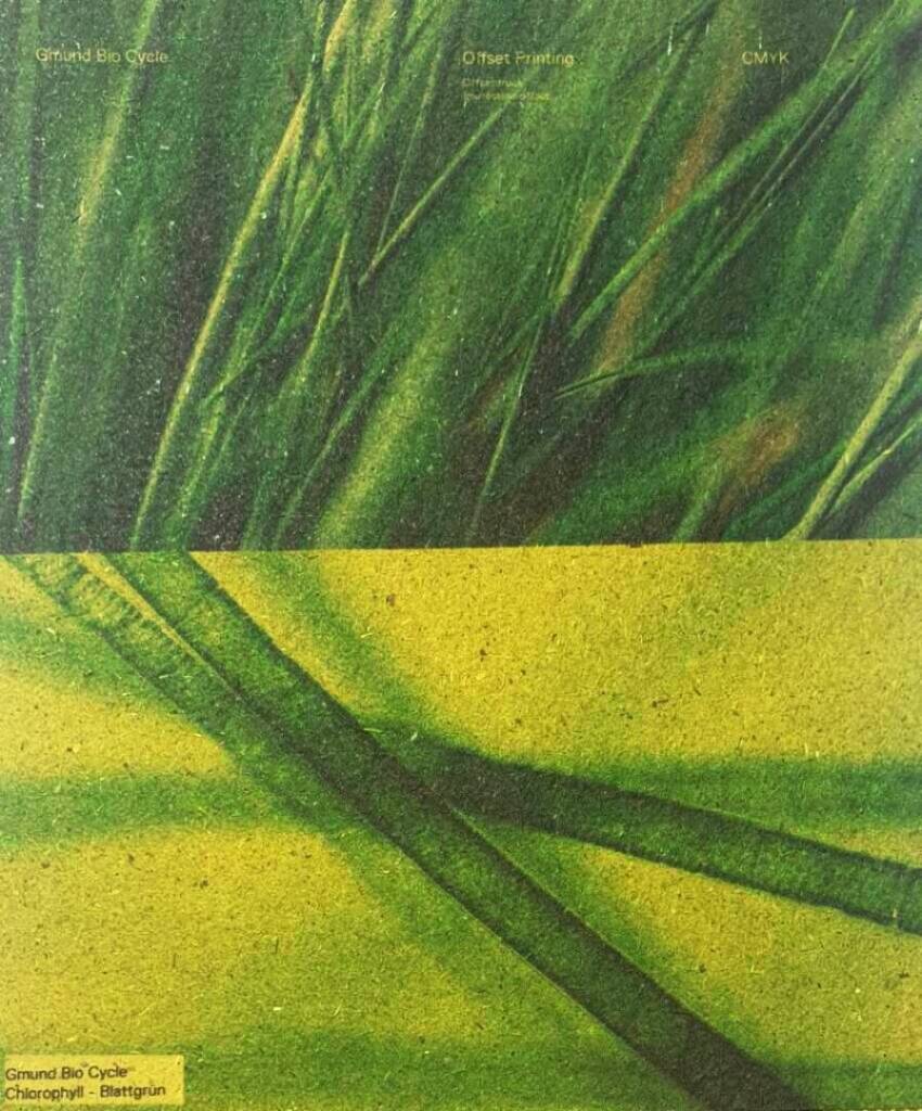 CHLOROFIL-OFFSET-896x1080