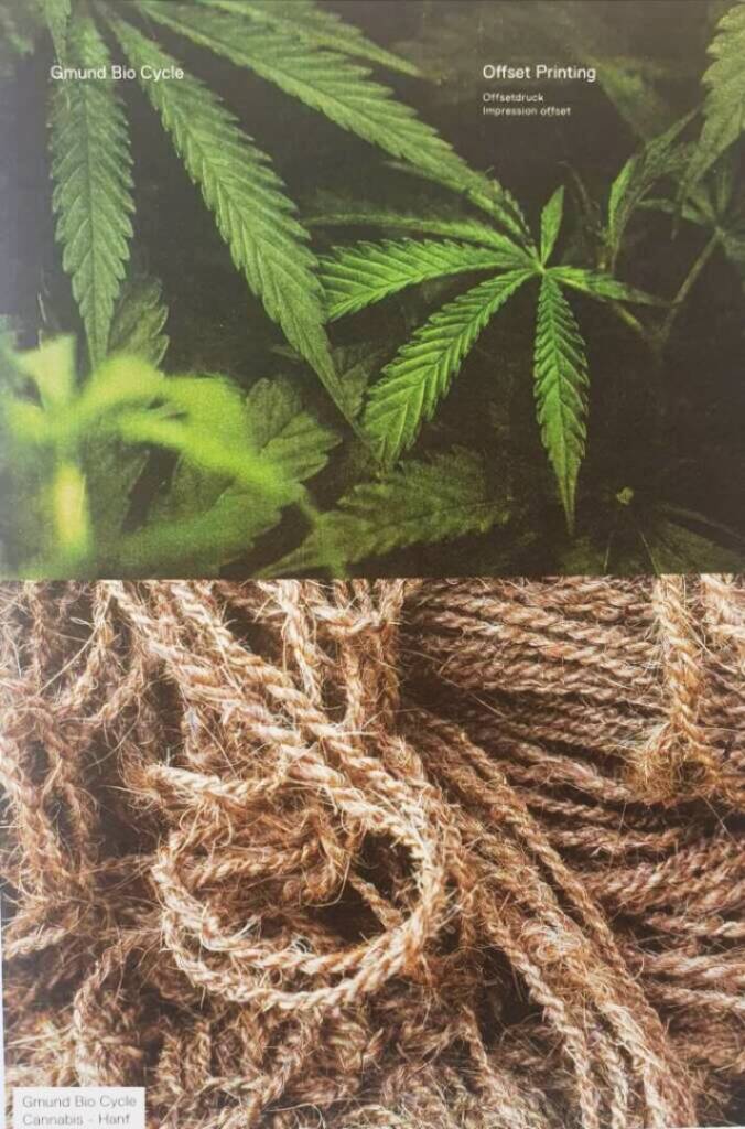 Cannabis-offset-713x1080